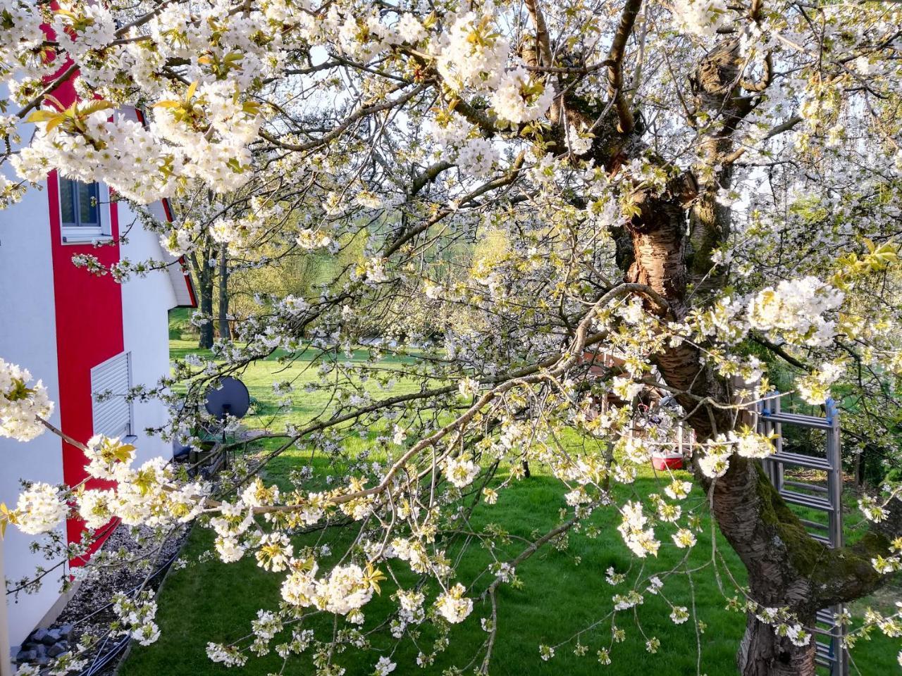 Ferienhaus Goermer Mit Wasserbett Schmölln Exterior foto